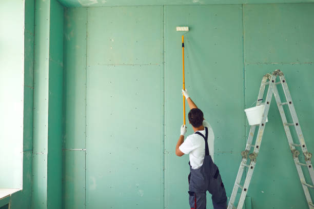 Best Emergency Mold Remediation  in Williamston, MI