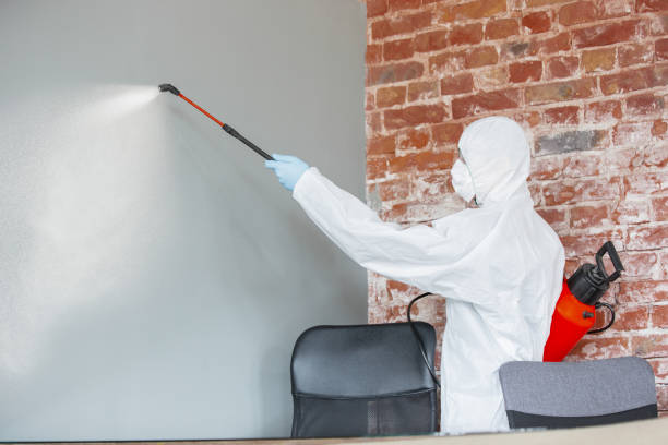Best Mold Odor Removal Services  in Williamston, MI