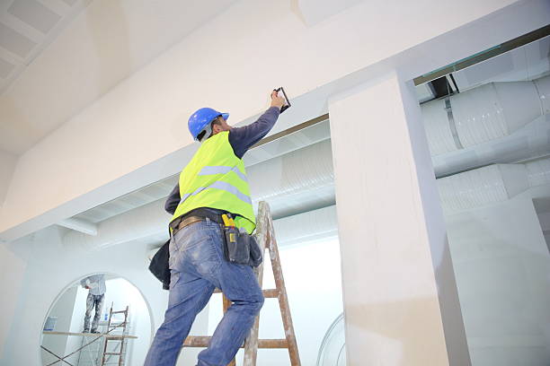 Best Real Estate Mold Inspection  in Williamston, MI