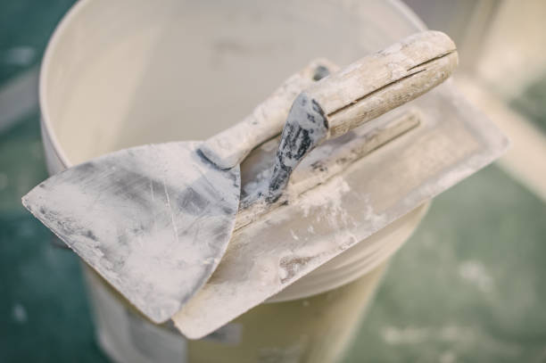 Best Mold Damage Restoration  in Williamston, MI